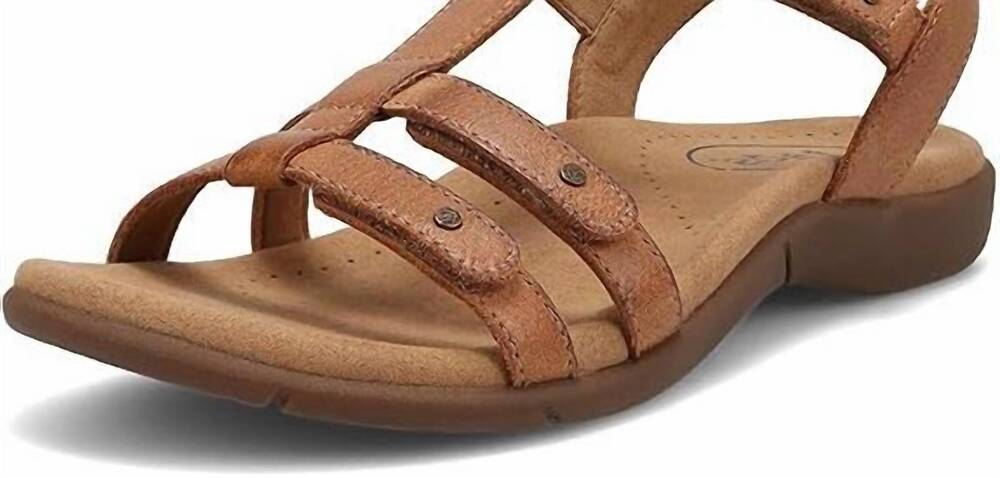 NEW TAOS women's trophy 2 sandal in honey
